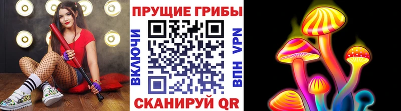 Галлюциногенные грибы Psilocybe  Петрозаводск 